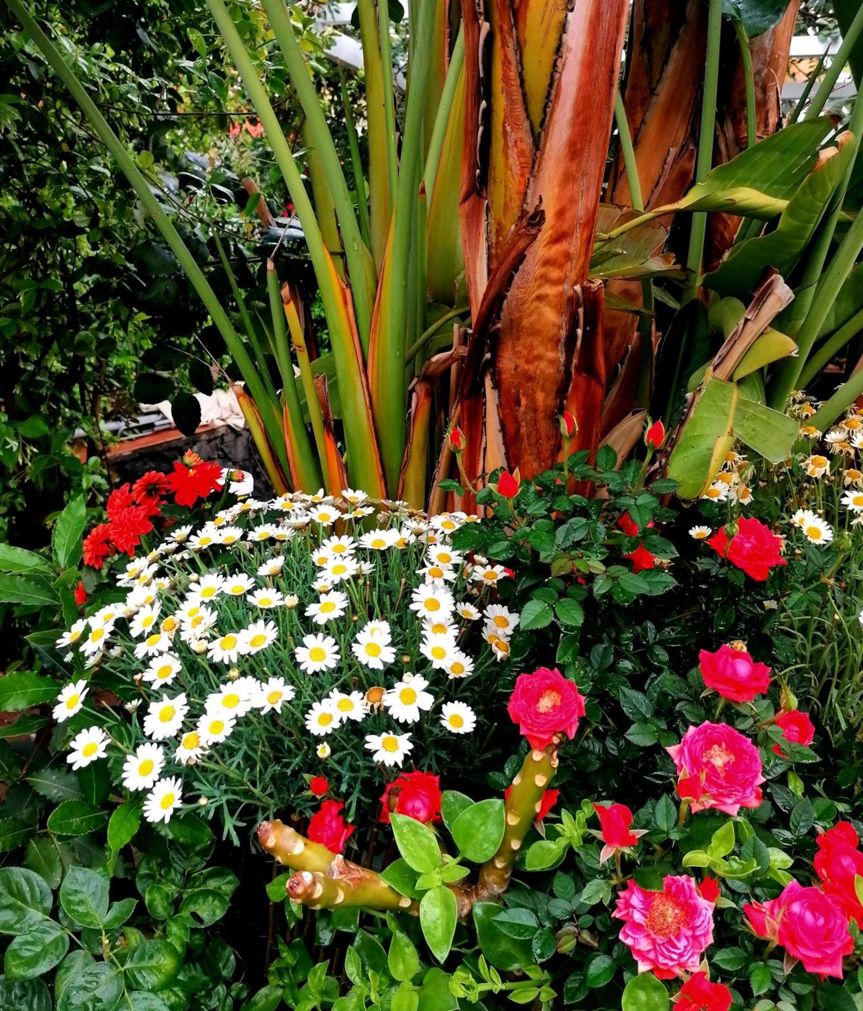 La Foresteria Garden Boutique B&B Catania Ngoại thất bức ảnh