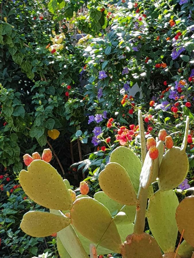 La Foresteria Garden Boutique B&B Catania Ngoại thất bức ảnh